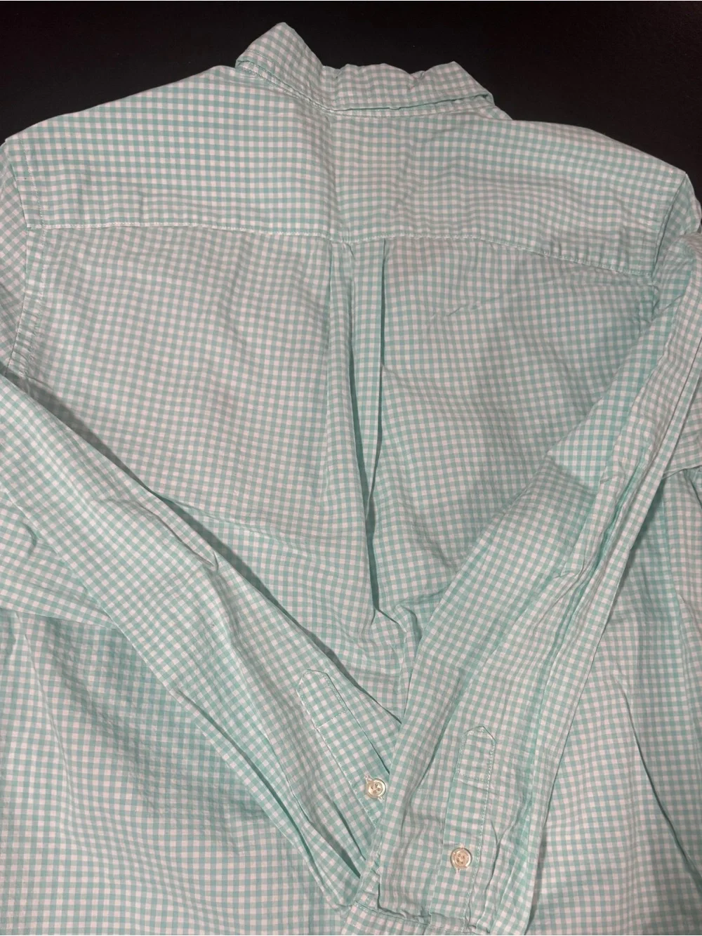 Polo by Ralph Lauren Men’s Mint Gingham Button-Down Shirt